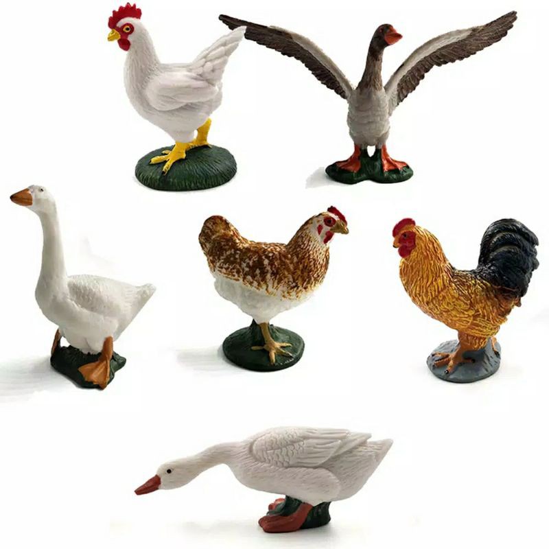 Detail Gambar Binatang Ayam Nomer 43