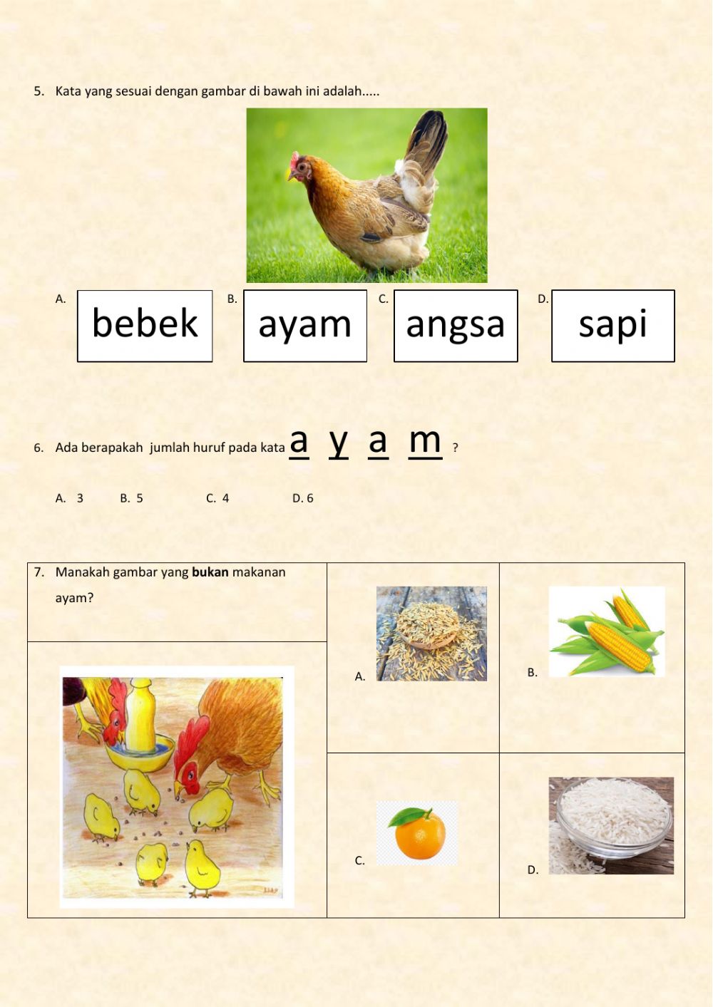 Detail Gambar Binatang Ayam Nomer 46