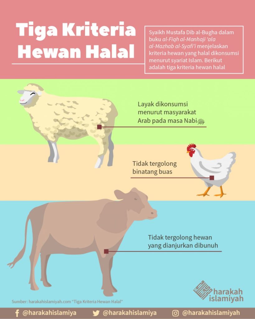 Detail Gambar Binatang Halal Nomer 13