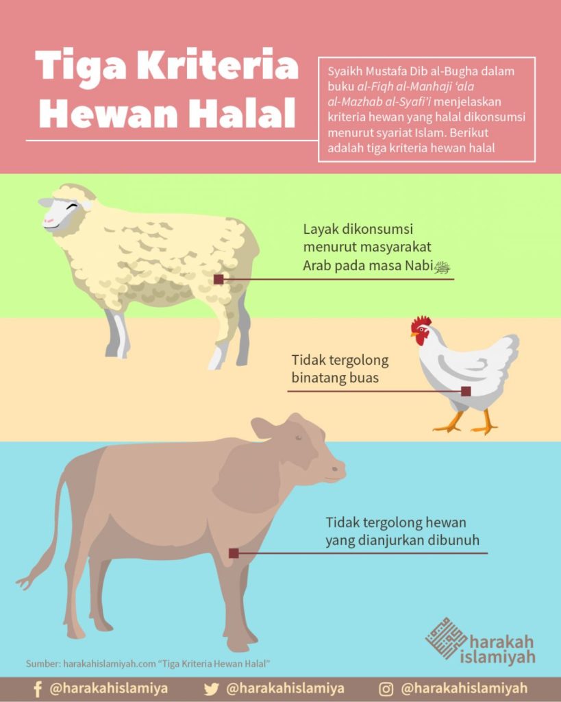 Detail Gambar Binatang Halal Dan Haram Nomer 12