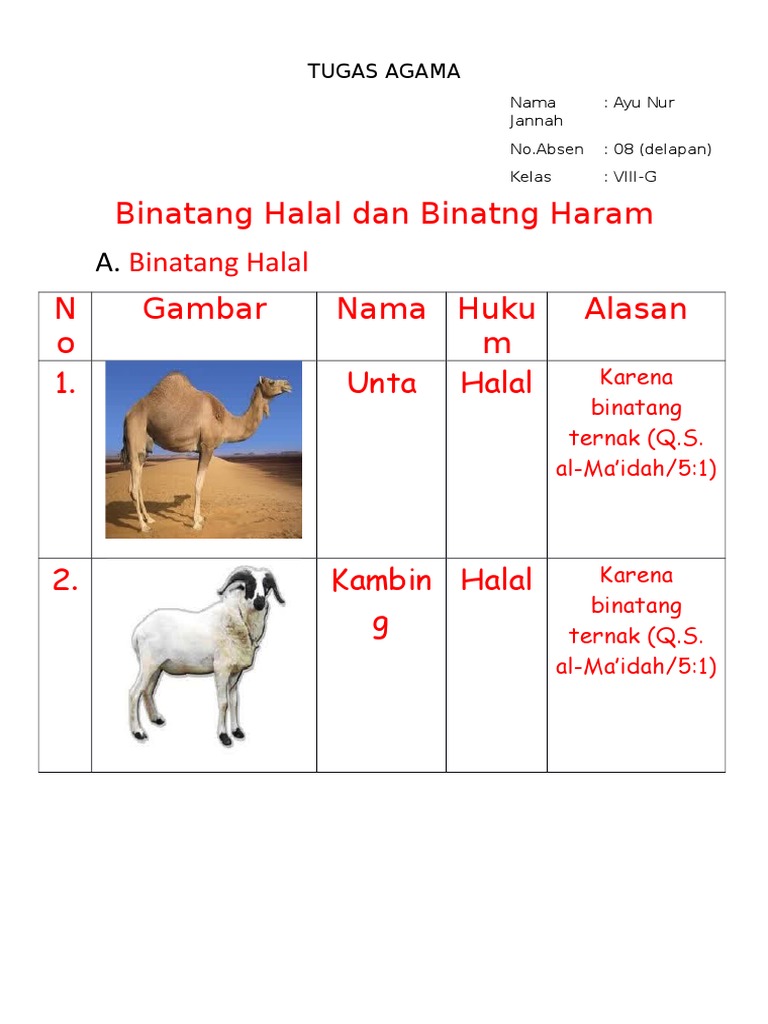 Detail Gambar Binatang Halal Dan Haram Nomer 23