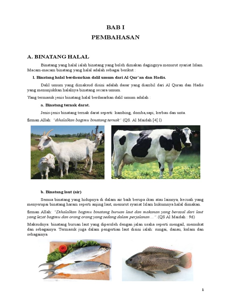 Detail Gambar Binatang Halal Dimakan Nomer 47