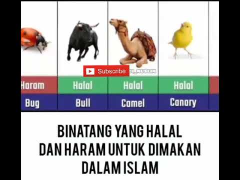 Detail Gambar Binatang Halal Dimakan Nomer 49