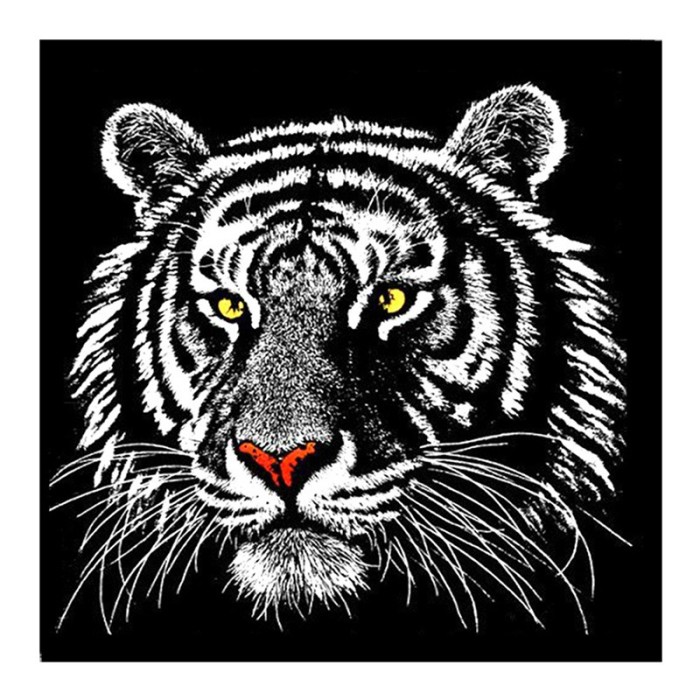 Detail Gambar Binatang Hitam Putih Gambar Harimau Hitam Putih Nomer 15