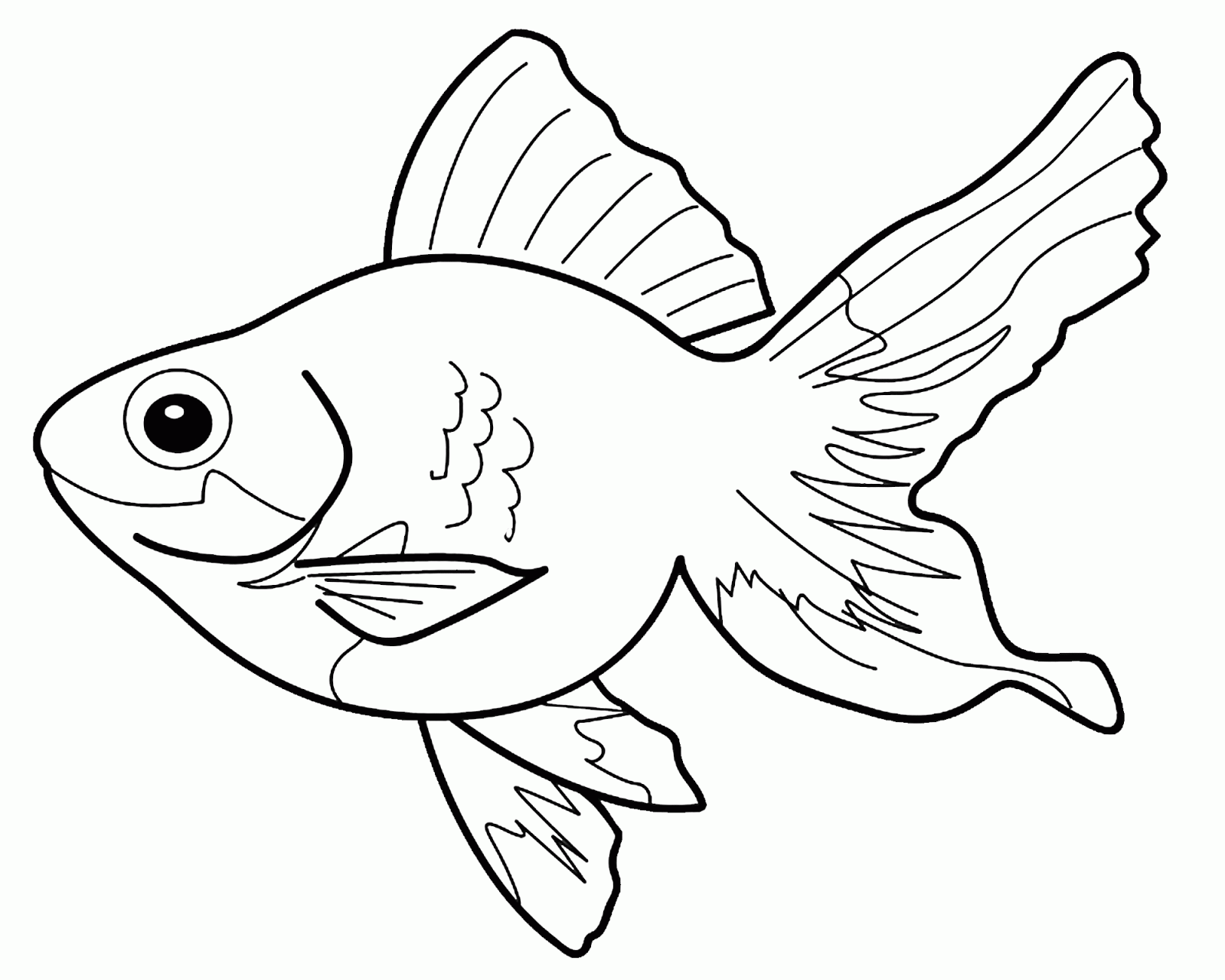 Detail Gambar Binatang Ikan Nomer 15