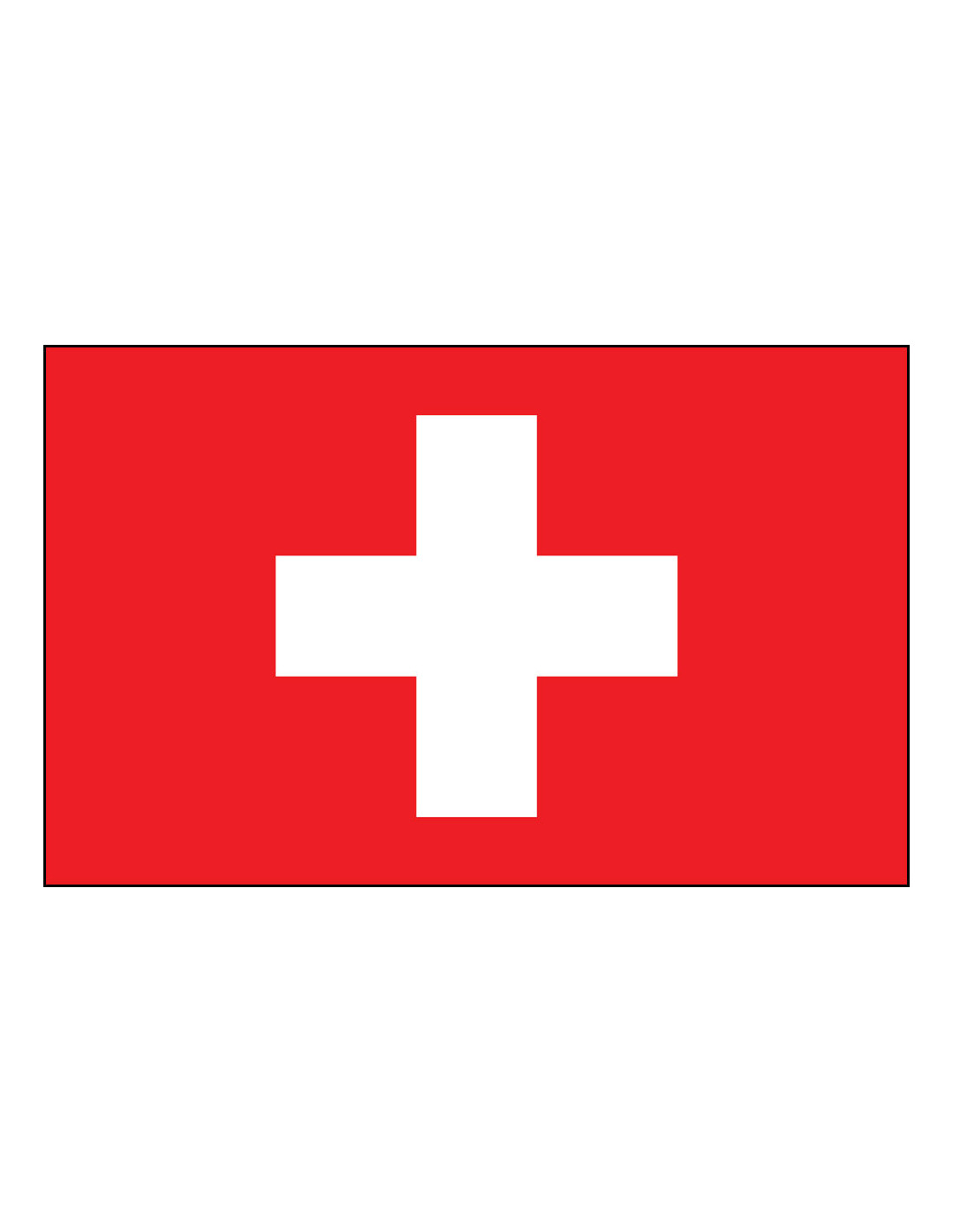 Detail Schweizer Flagge Nomer 2