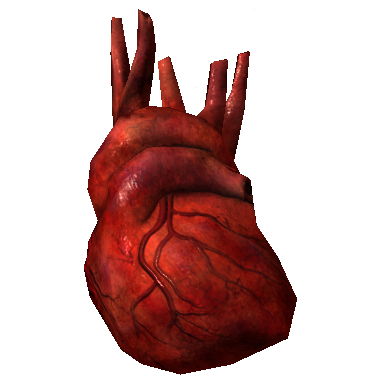 Detail Skyrim Drachenbaum Nomer 26