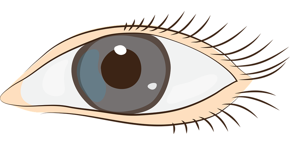 Detail Braunes Auge Nomer 13