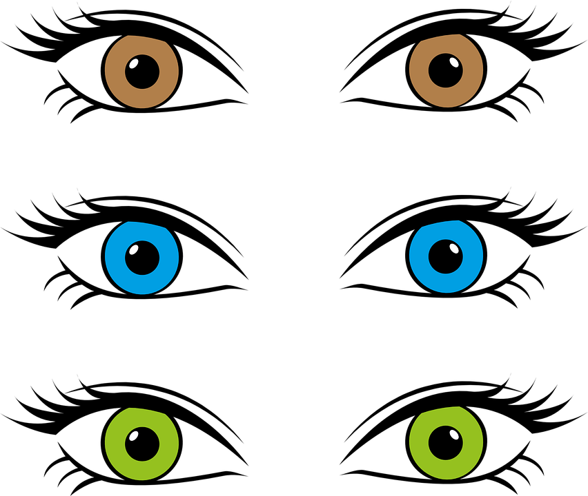 Detail Braunes Auge Nomer 15