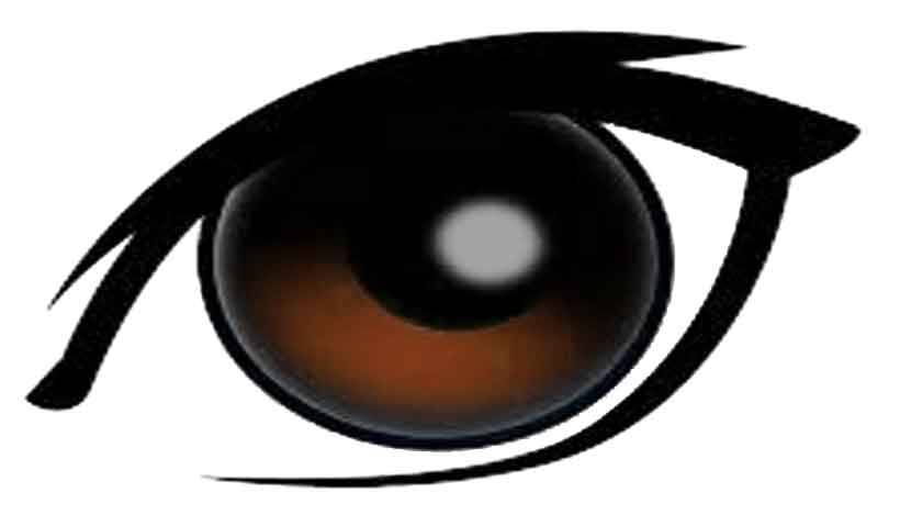 Detail Braunes Auge Nomer 2