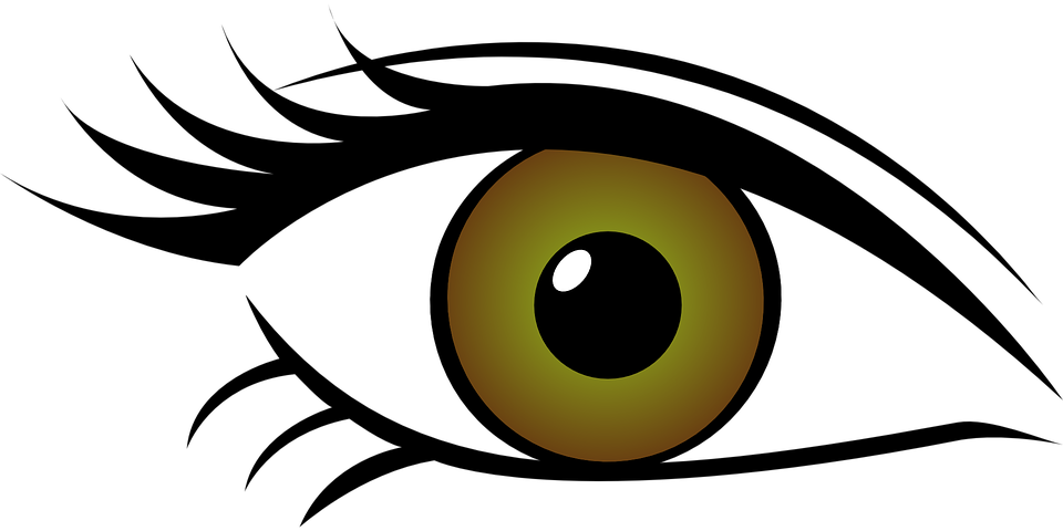 Detail Braunes Auge Nomer 8