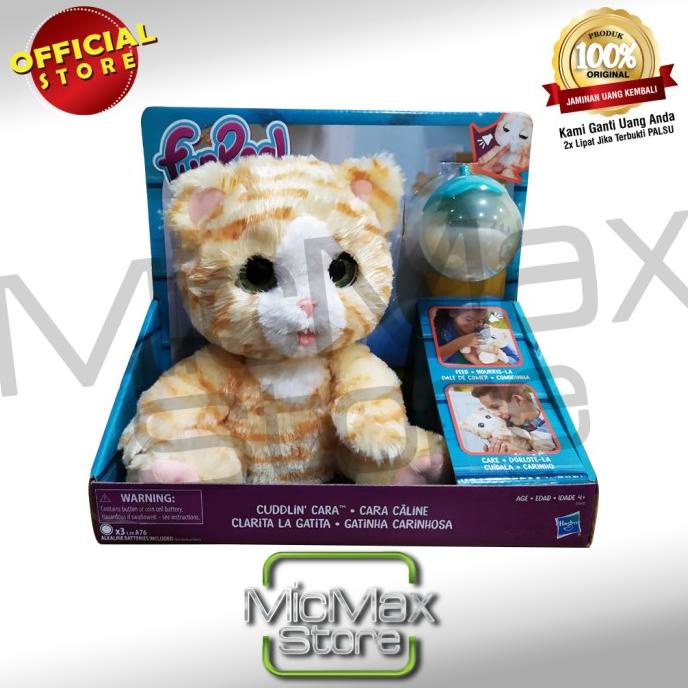 Detail Gambar Binatang Kucing Nomer 16