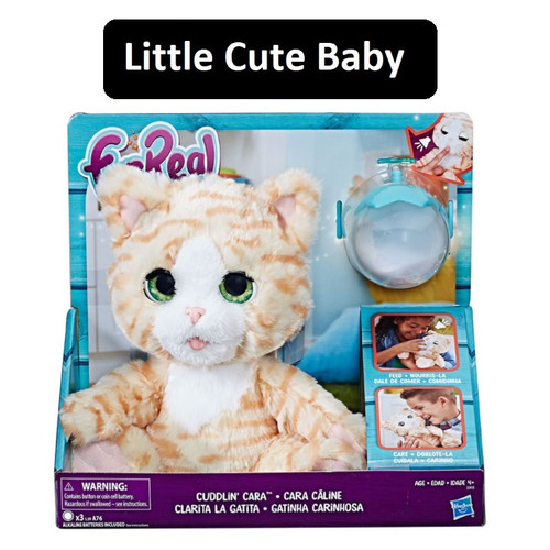 Detail Gambar Binatang Kucing Nomer 28
