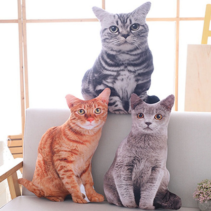Detail Gambar Binatang Kucing Nomer 32