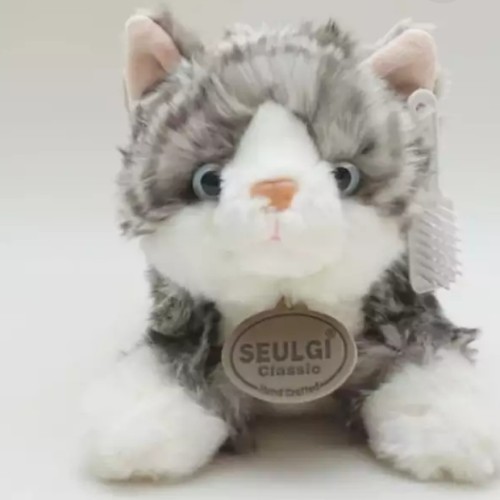 Detail Gambar Binatang Kucing Nomer 37
