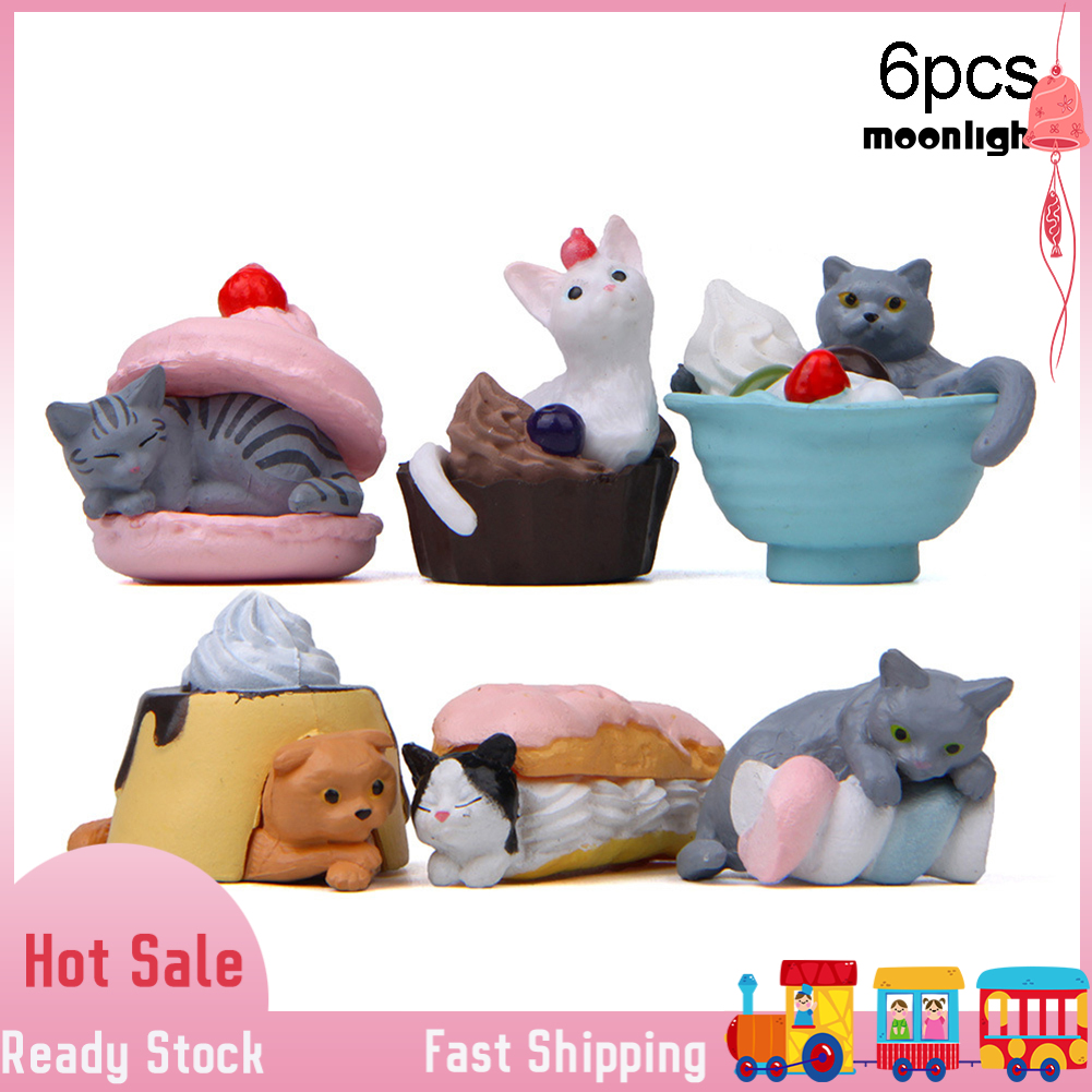 Detail Gambar Binatang Kucing Nomer 46