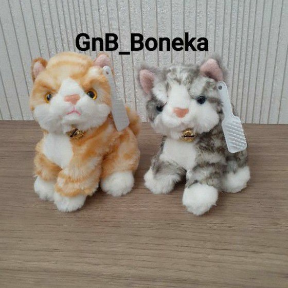 Detail Gambar Binatang Kucing Nomer 47