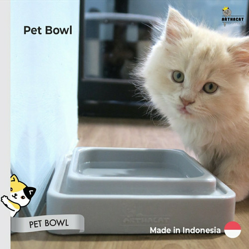 Detail Gambar Binatang Kucing Nomer 48