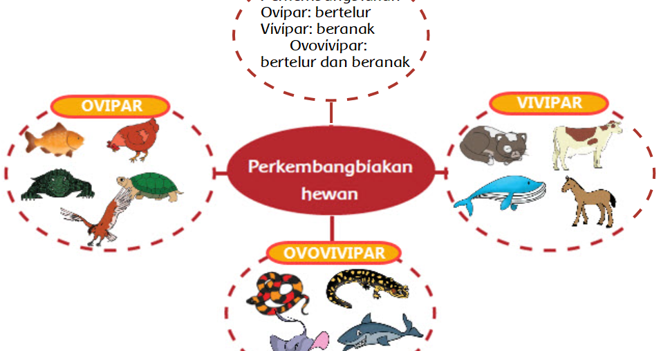 Detail Gambar Binatang Ovipar Nomer 56