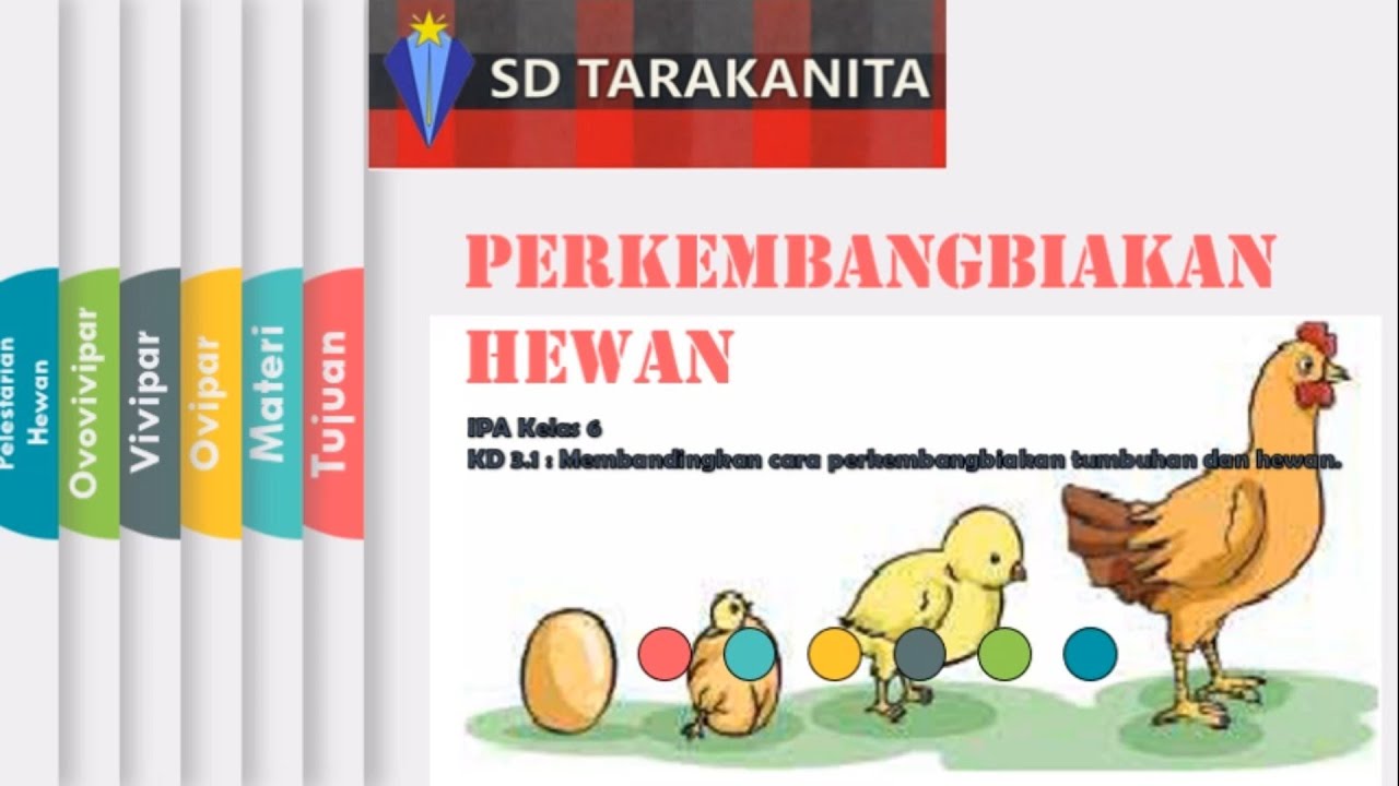 Detail Gambar Binatang Ovipar Serta Perkembangbiakannya Nomer 43