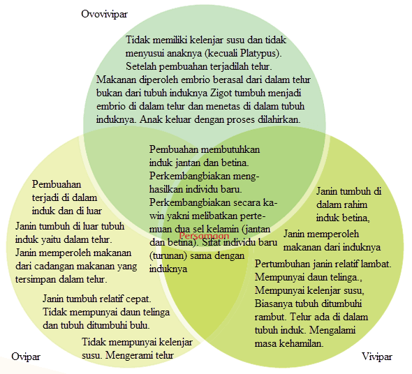 Detail Gambar Binatang Ovipar Serta Perkembangbiakannya Nomer 48