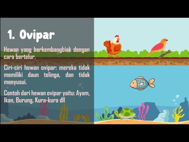 Detail Gambar Binatang Ovipar Serta Perkembangbiakannya Nomer 9