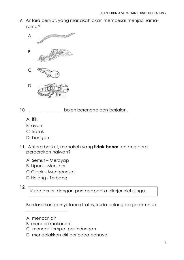 Detail Gambar Binatang Tahun 2 Dunia Sains Tahun 2 Gambar Binantang Nomer 2