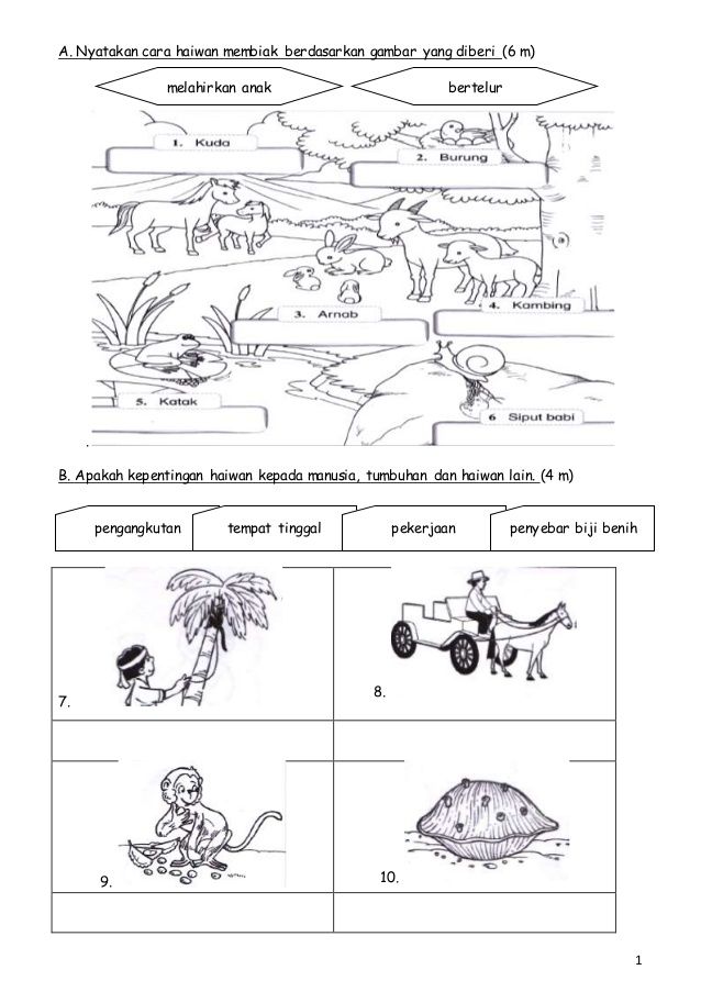 Detail Gambar Binatang Tahun 2 Dunia Sains Tahun 2 Gambar Binantang Nomer 12