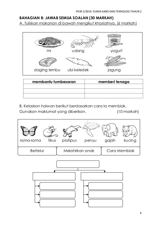 Detail Gambar Binatang Tahun 2 Dunia Sains Tahun 2 Gambar Binantang Nomer 13