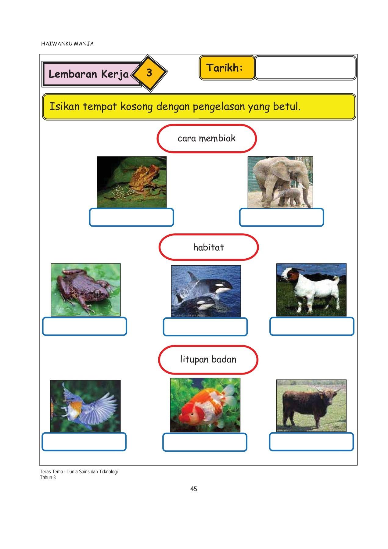 Detail Gambar Binatang Tahun 2 Dunia Sains Tahun 2 Gambar Binantang Nomer 3