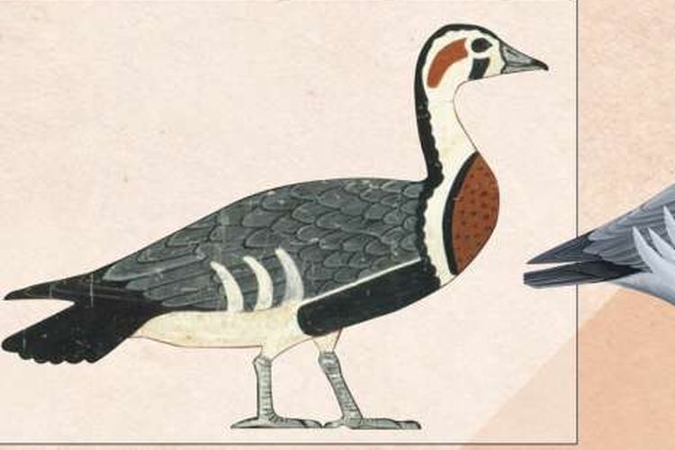 Detail Gambar Binatang Tahun 2 Lukisan Burung Nomer 22