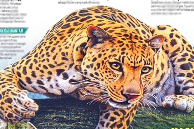 Detail Gambar Binatang Yang Di Lindungi Nomer 17