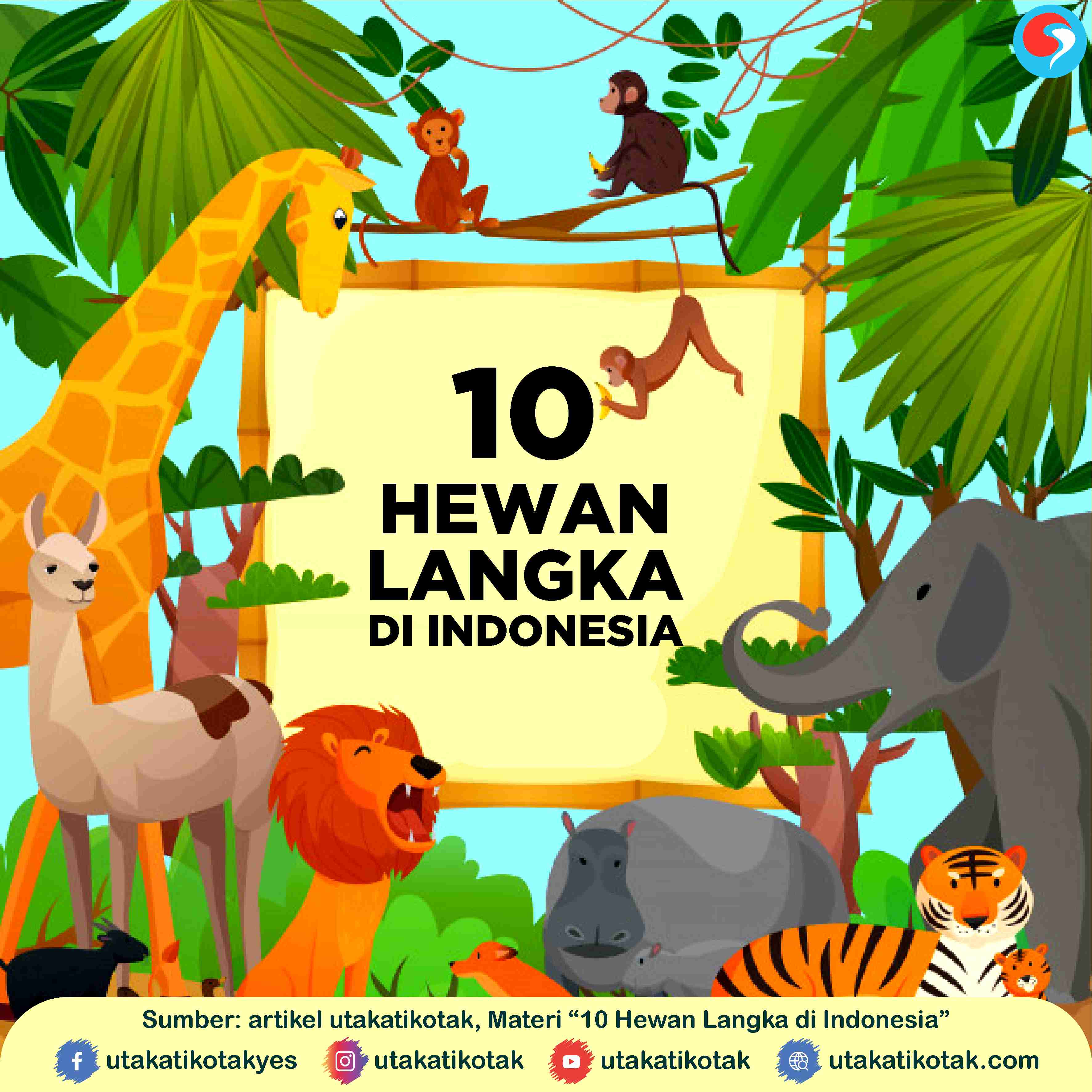 Detail Gambar Binatang Yang Di Lindungi Nomer 20