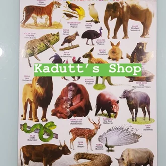 Detail Gambar Binatang Yang Di Lindungi Nomer 34