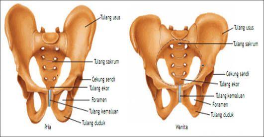 Detail Gambar Binte Es Brewebon Nomer 39