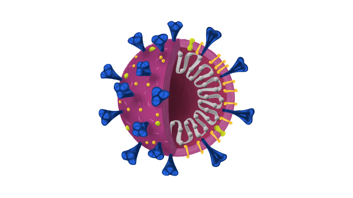 Detail Virus Bild Nomer 15