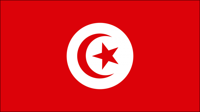 Detail Bandeira Da Turquia Verde Nomer 9