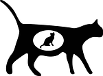 Detail Blaue Augen Bei Katzenbabys Nomer 14