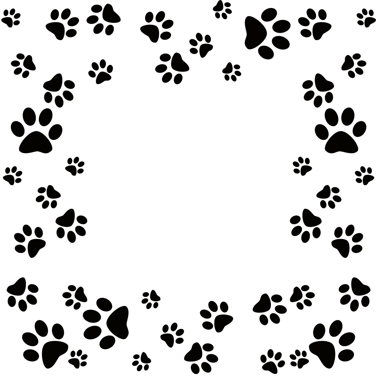 Detail Blaue Augen Bei Katzenbabys Nomer 25