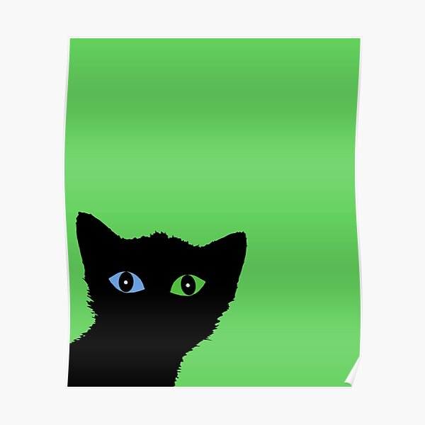 Detail Blaue Augen Bei Katzenbabys Nomer 5