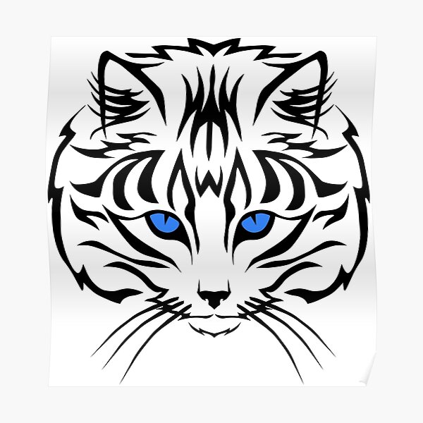 Detail Blaue Augen Bei Katzenbabys Nomer 6