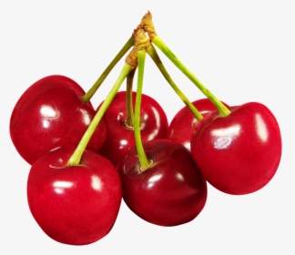 Detail Cherries Transparent Nomer 13