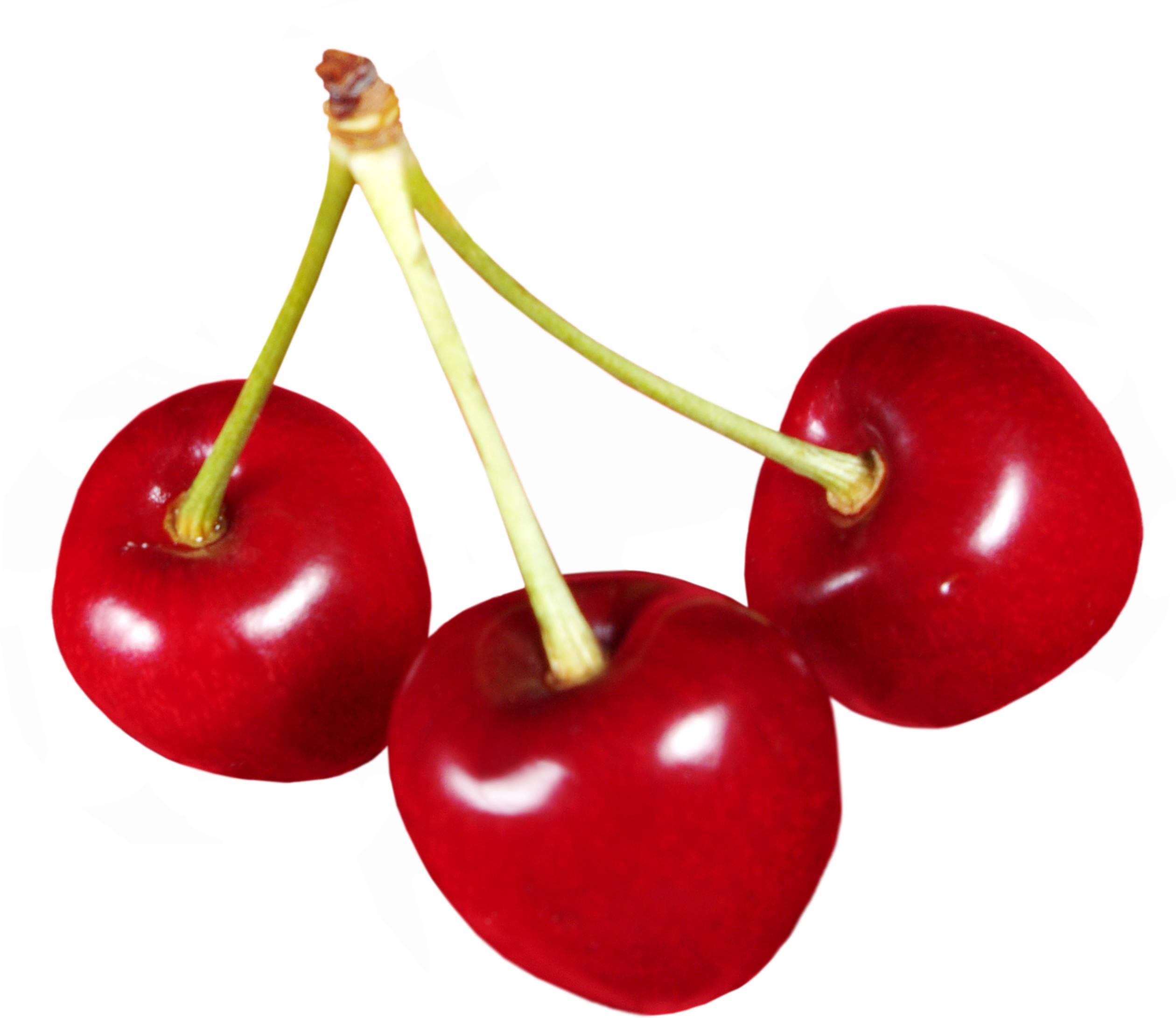 Detail Cherries Transparent Nomer 19