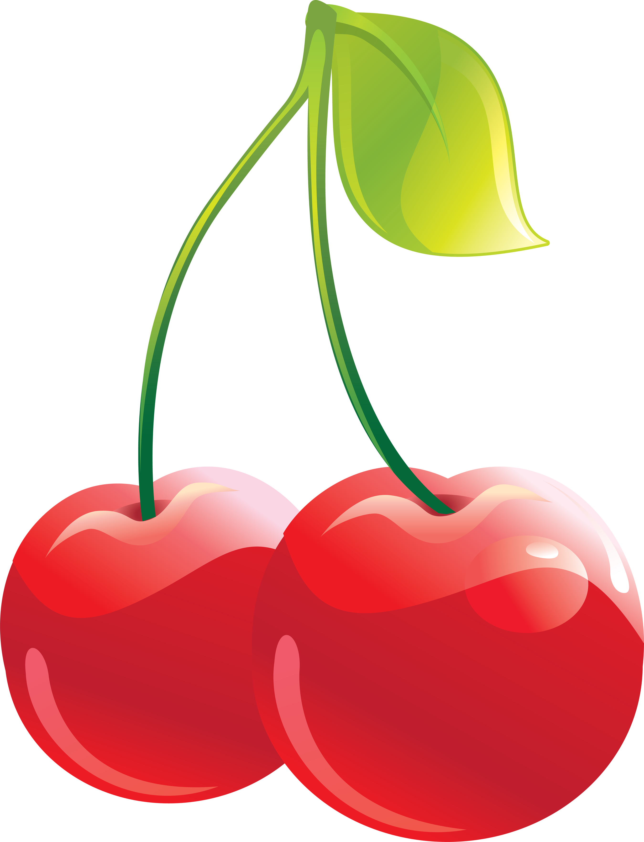 Detail Cherries Transparent Nomer 27