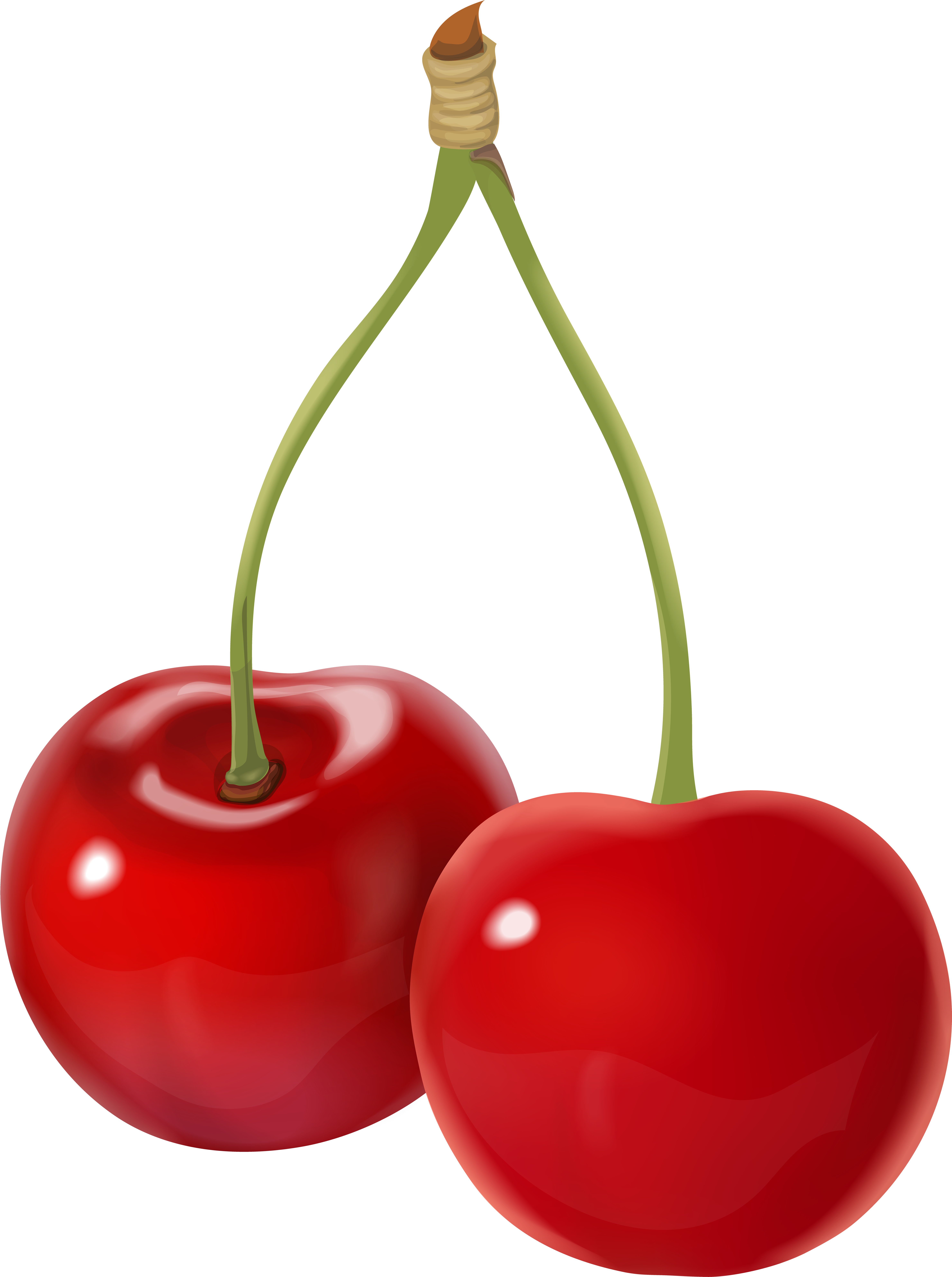 Detail Cherries Transparent Nomer 34