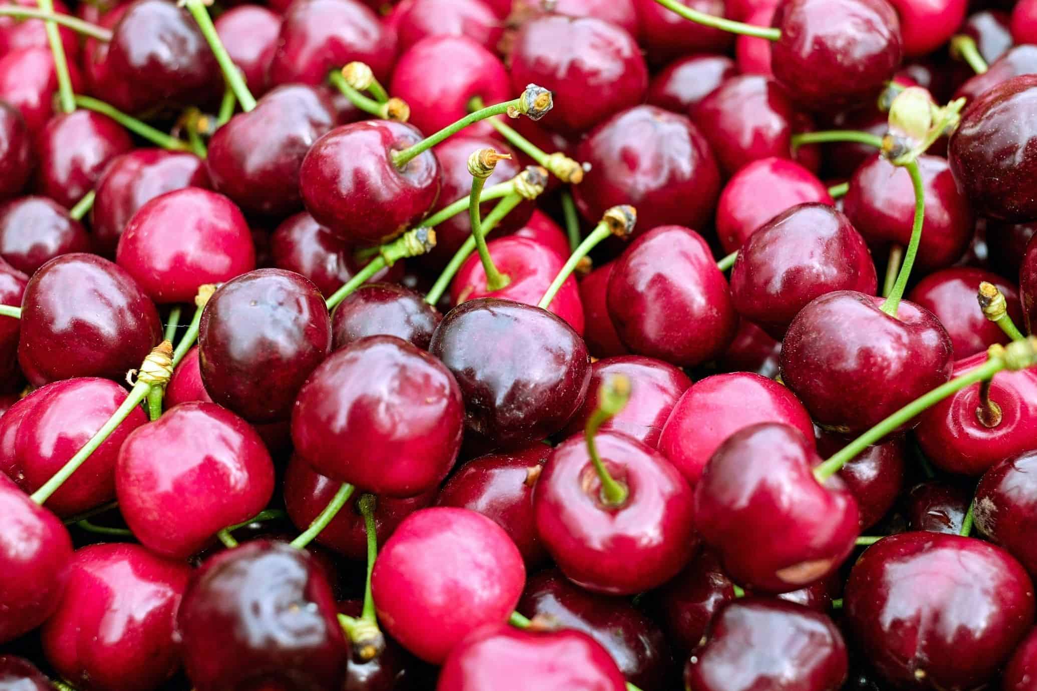 Detail Cherry 1 Nomer 11