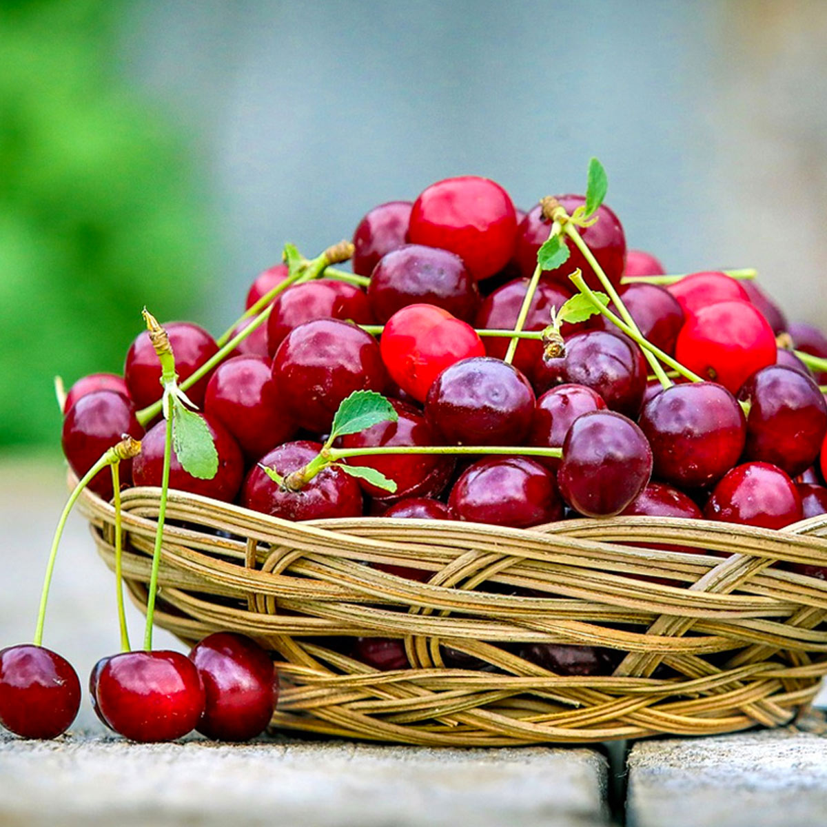 Detail Cherry 1 Nomer 17
