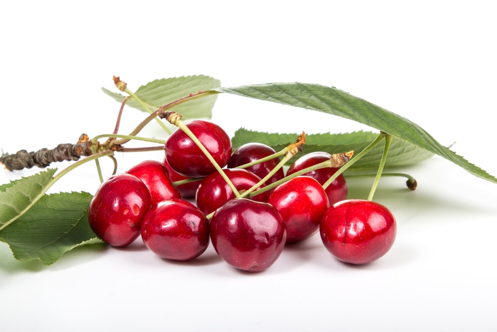 Detail Cherry 1 Nomer 20