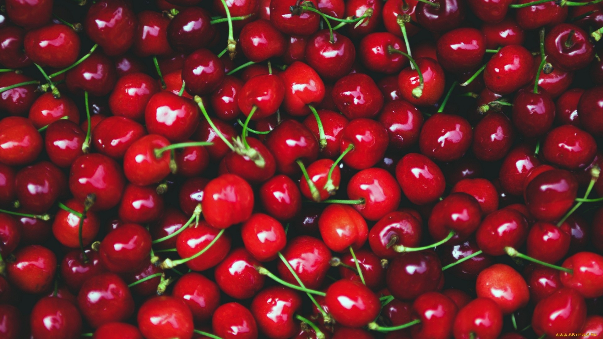 Detail Cherry Background Nomer 20