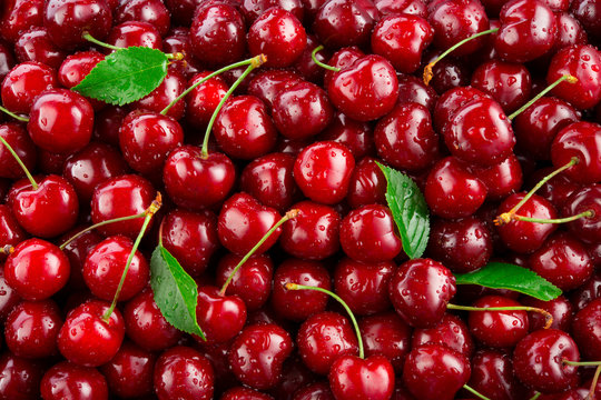 Detail Cherry Background Nomer 31